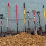 Shovels lined up against the Green & Main Pilot Project building
